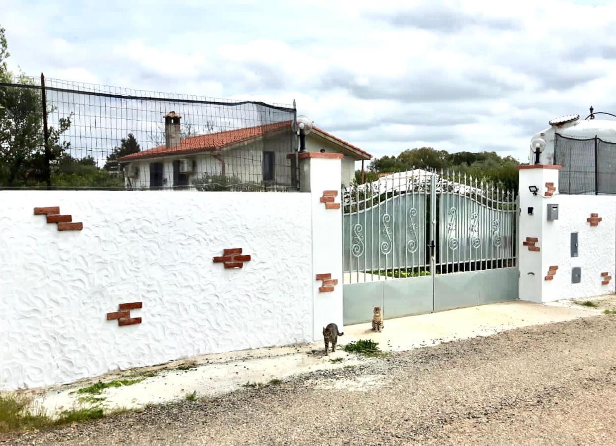 Appartamento La Maison Blanche Iglesias Esterno foto